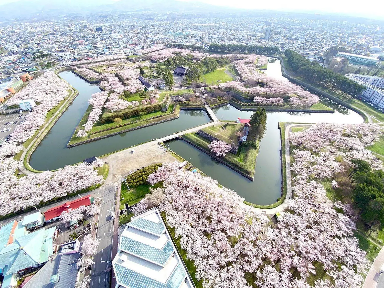北海道函館賞櫻景點推薦：五稜郭公園