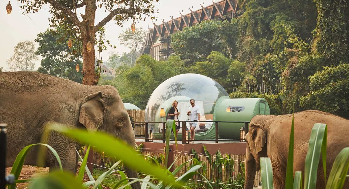 清萊豪華住宿推薦：安納塔拉金三角象營度假村 Anantara Golden Triangle Elephant Camp& Resort