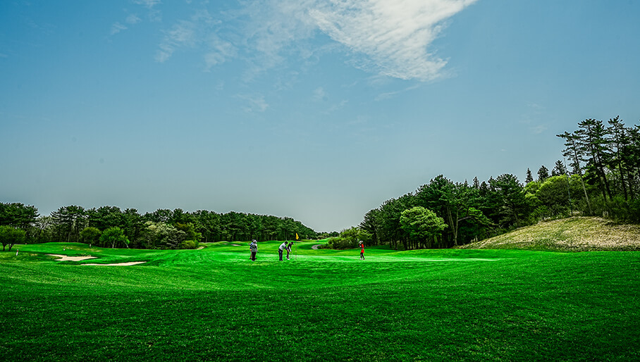 韓國濟州島高爾夫球場推薦：錫耶納鄉村俱樂部 The Siena Country Club
