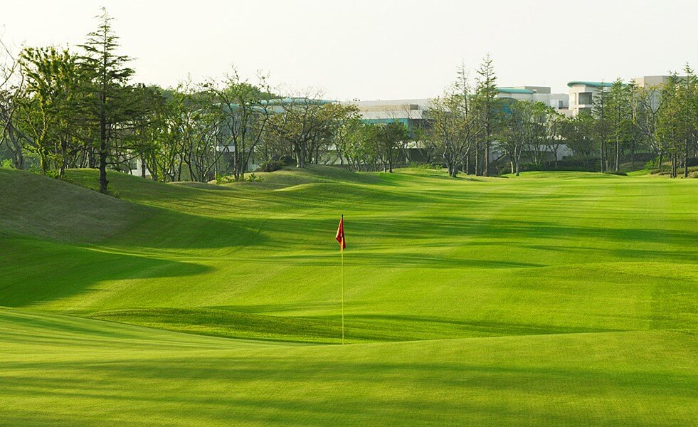 韓國濟州島高爾夫球場推薦：泰迪谷高爾夫球場  TEDDY VALLEY