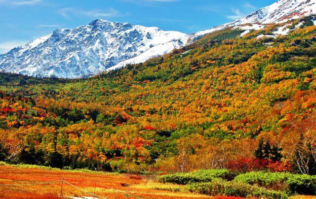 栂池自然園：北阿爾卑斯的賞楓秘境