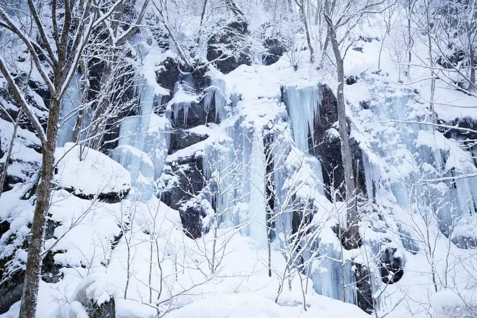 冬日青森：5天4夜冰雪奇景探索之旅