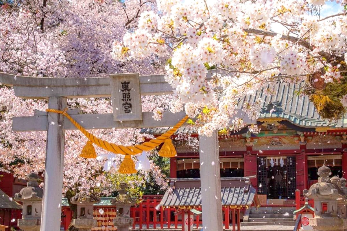 【2025日本賞櫻】東京日光5日春櫻美湯舒壓奢享之旅