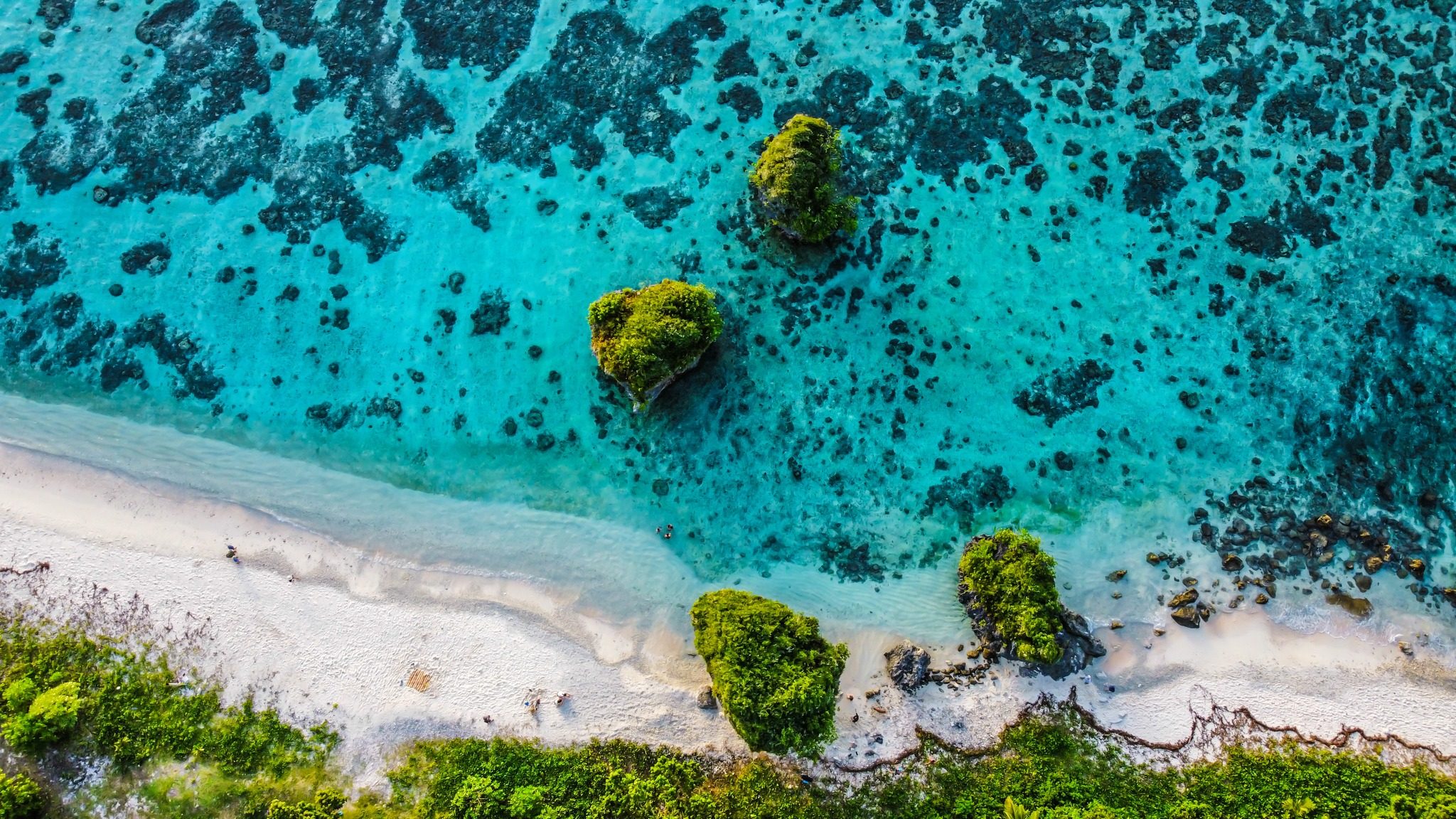 306137701_6225543977472172_5369297615791222622_n