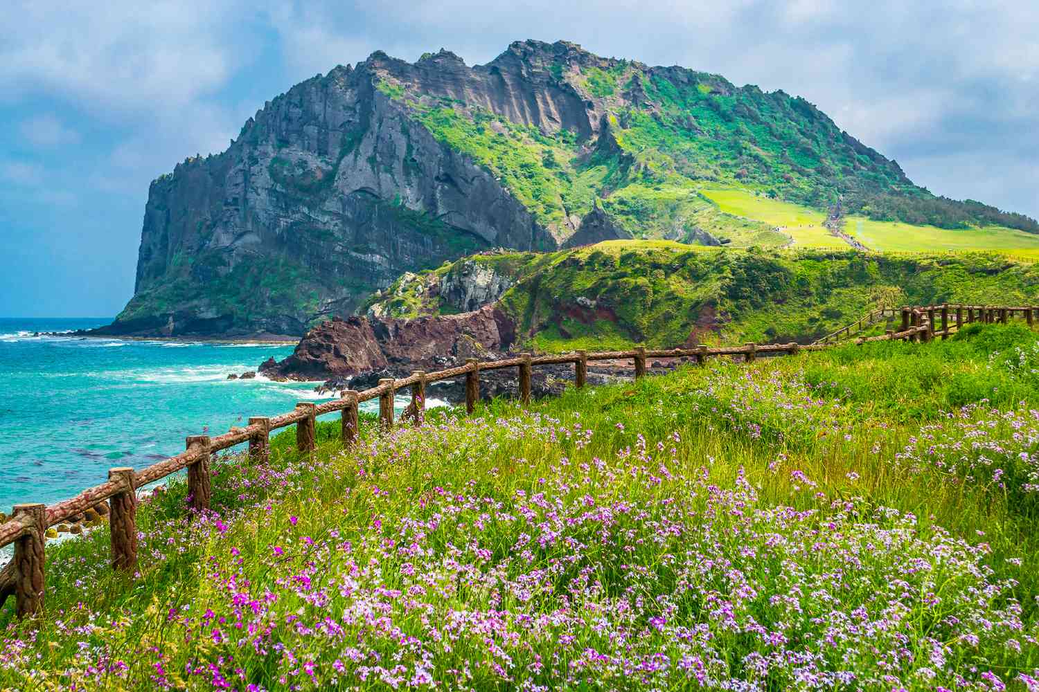 濟州島
