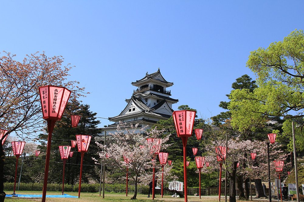 高知