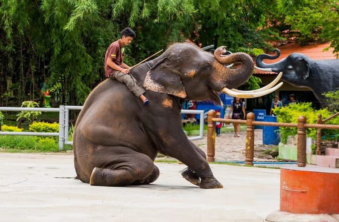 Safari World Bangkok