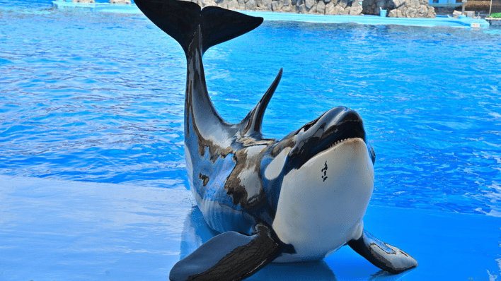 名古屋港水族館