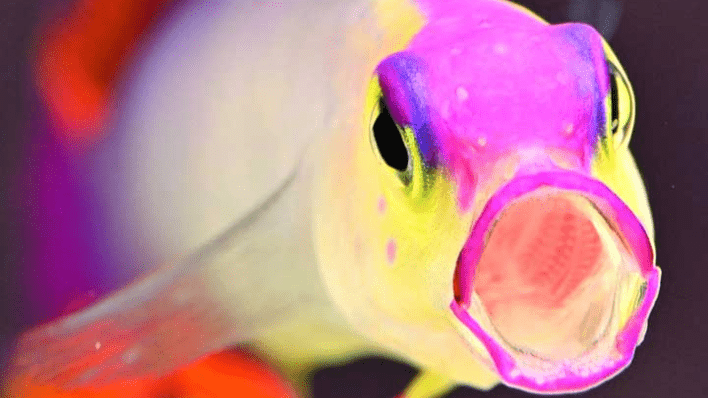 名古屋港水族館