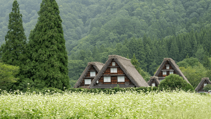 合掌村