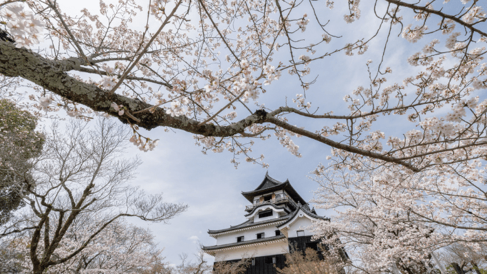 犬山城
