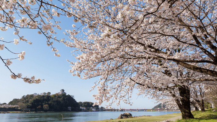 犬山祭