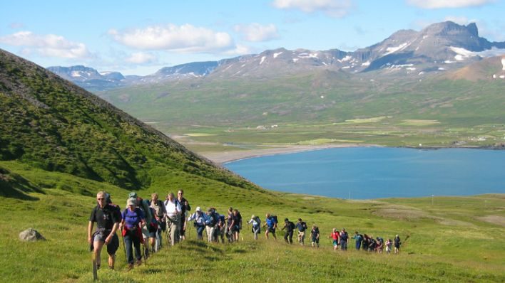 東博爾加峽灣（Borgarfjörður eystri）