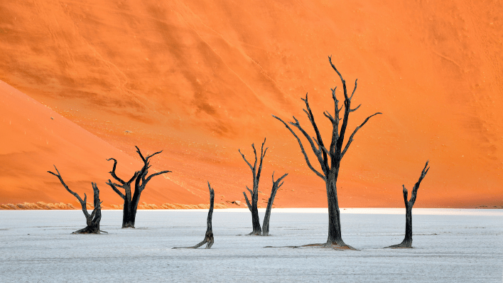 死亡谷（Deadvlei）