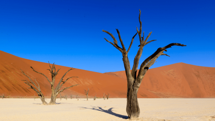 死亡谷（Deadvlei）
