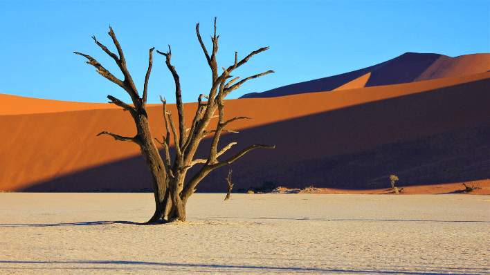 死亡谷（Deadvlei）