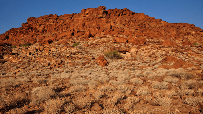 特韋弗爾泉岩畫（Twyfelfontein）