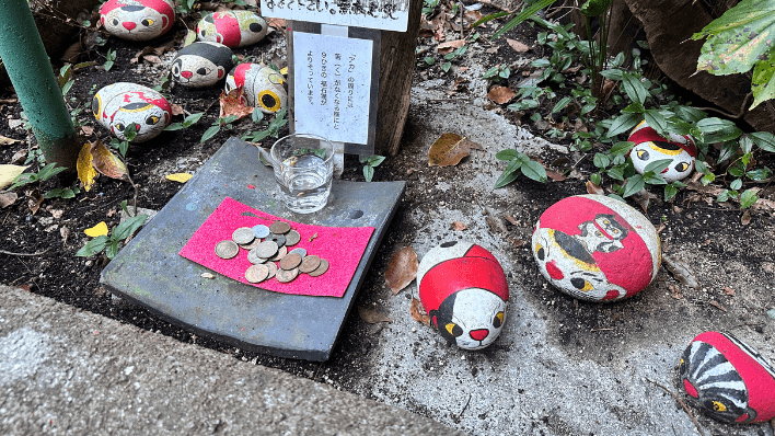 貓之細道