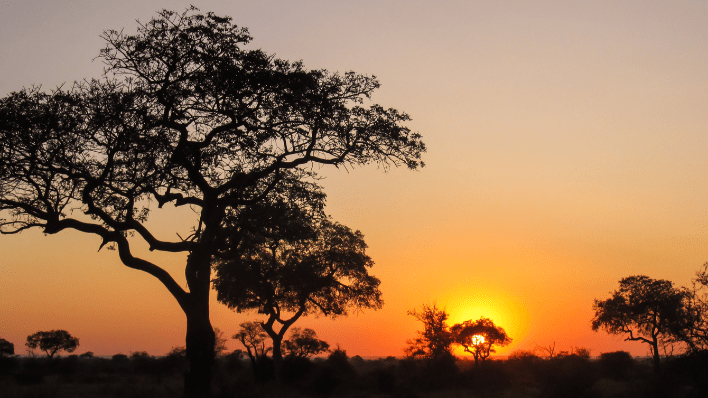 kruger national park