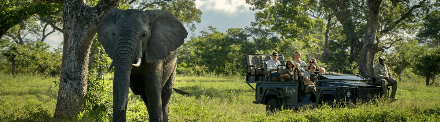 singita game drive