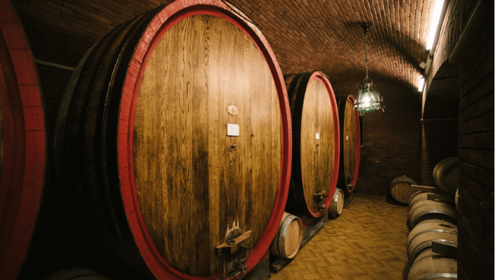 Tommasi / Allegrini 頂級酒莊私訪