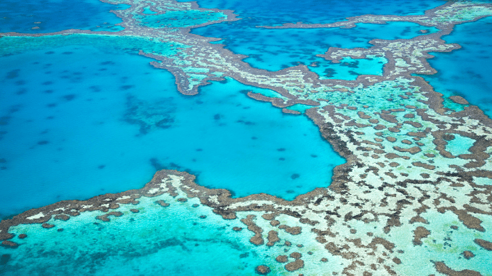 Lizard Island Resort