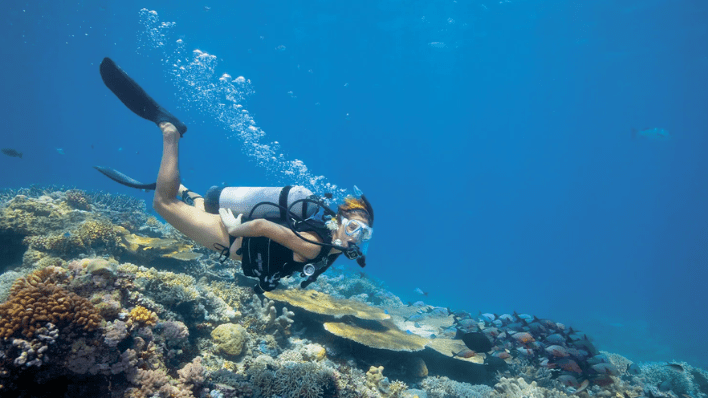 Lizard Island Resort