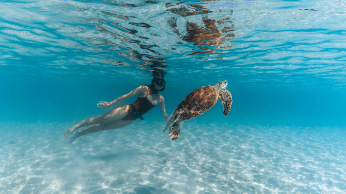 Lizard Island Resort