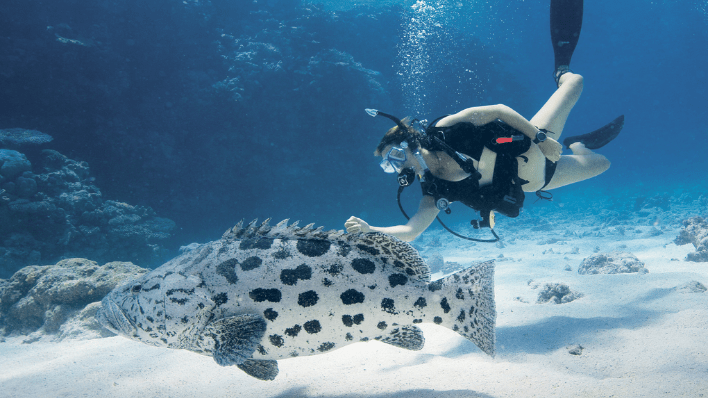 Lizard Island Resort