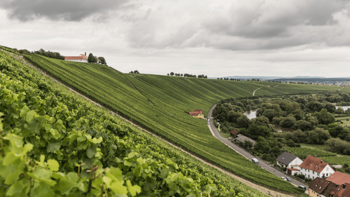 Horst Sauer 酒莊（Weingut Horst Sauer）