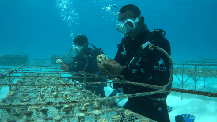 Lizard Island Resort
