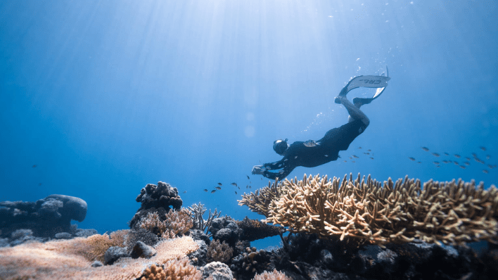 Four Seasons Explorer, Palau