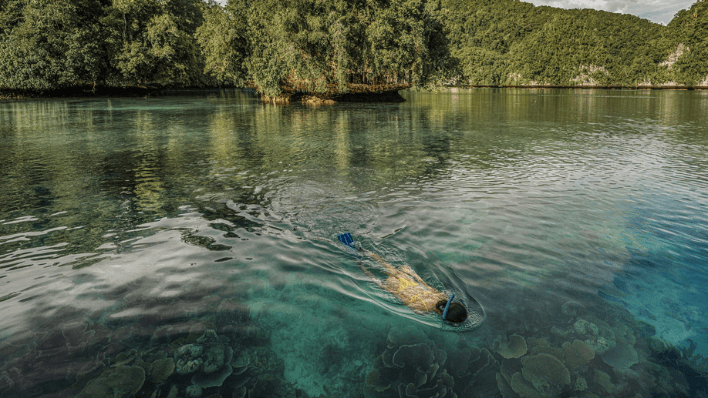 Four Seasons Explorer, Palau