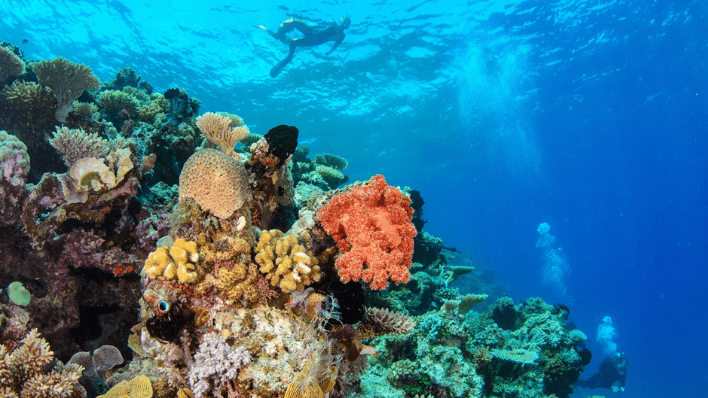 Lizard Island Resort