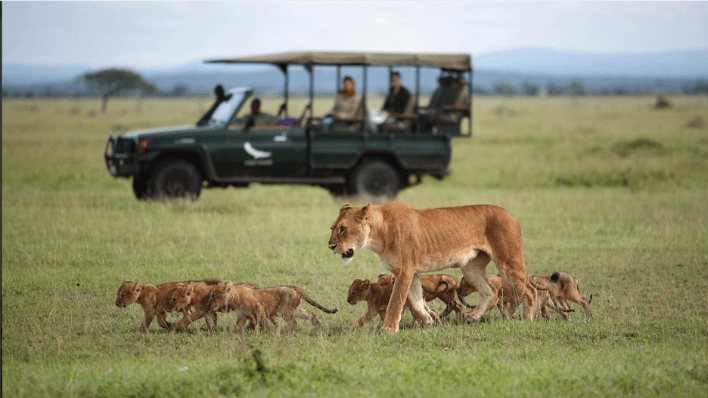 grumeti game drive