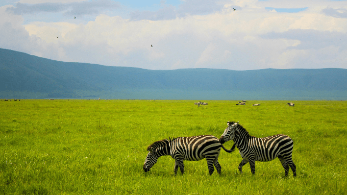 Ngorongoro Conservation Area