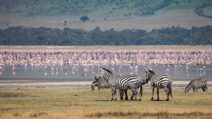 Ngorongoro Conservation Area