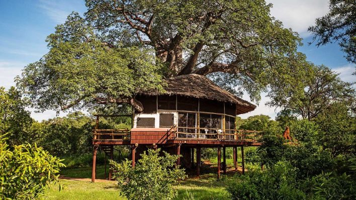 Tarangire Treetops Lodge