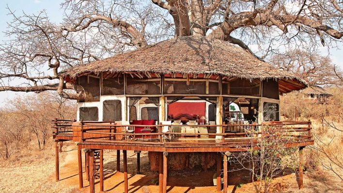 Tarangire Treetops Lodge