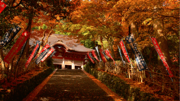 鰐淵寺