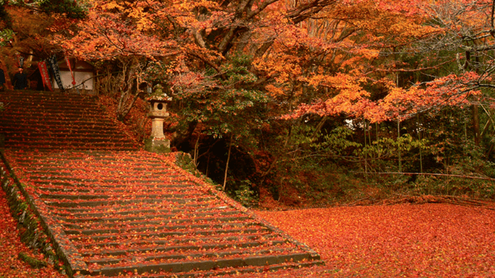 鰐淵寺