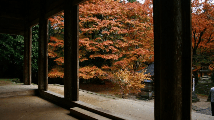 鰐淵寺