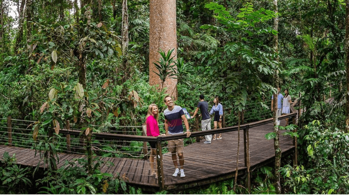 Skyrail 熱帶雨林纜車（Skyrail Rainforest Cableway）