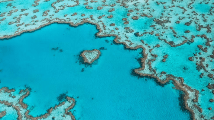 Heart Reef