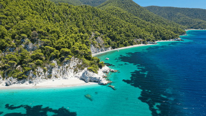 Panormos