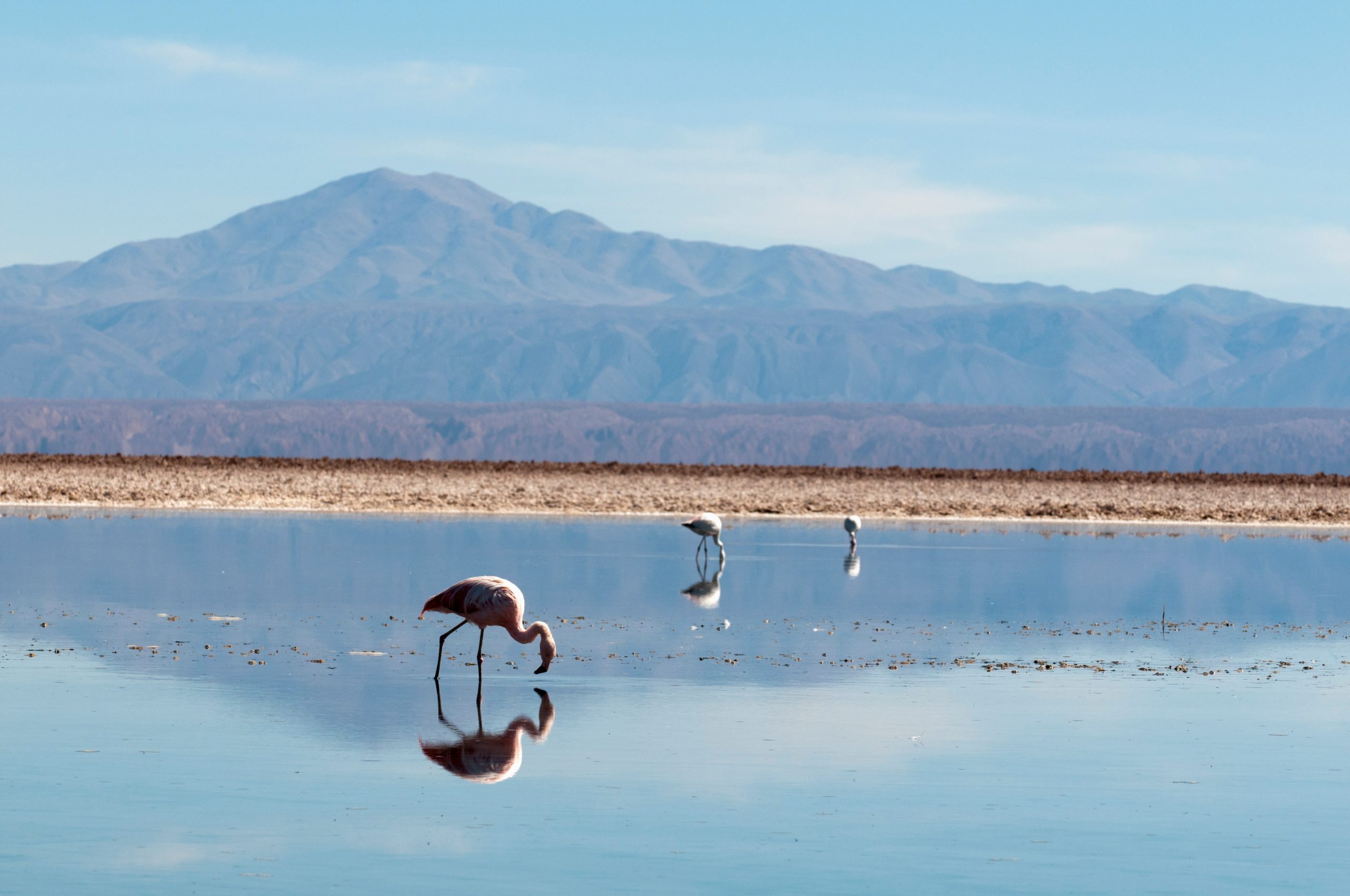 Salar de Atacama