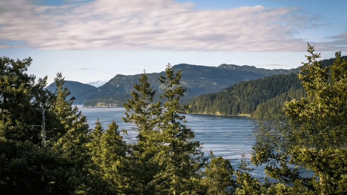 seymour narrow