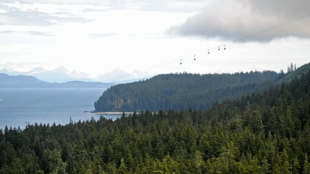 zipline