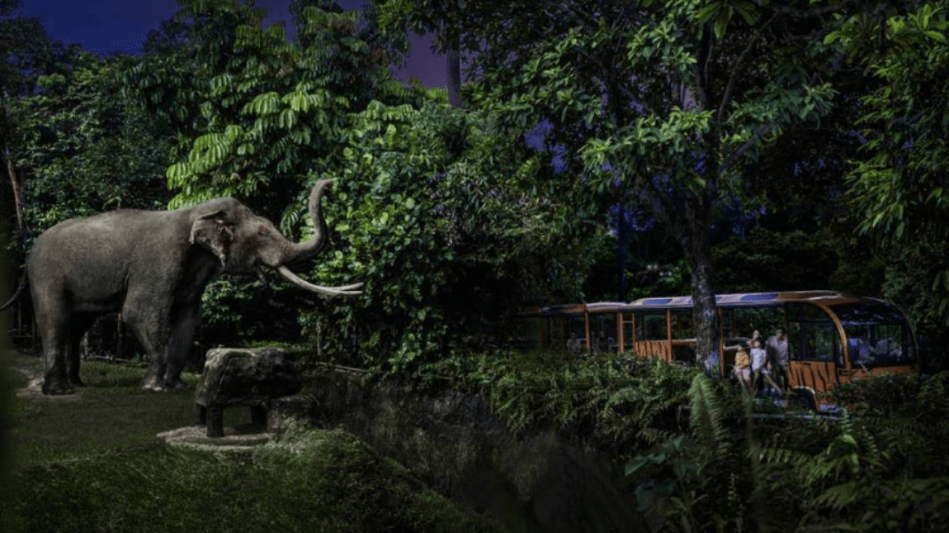 夜間動物園