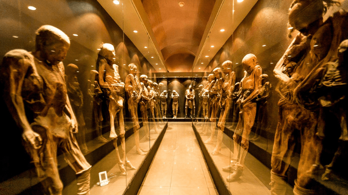 museo de las momias